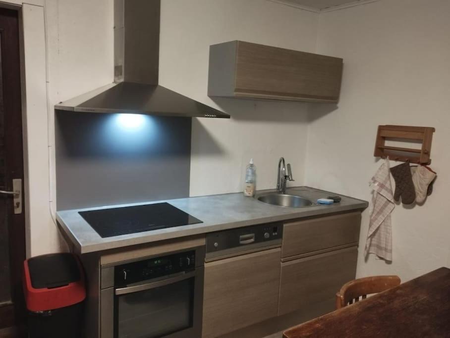 Entremont Chalet 8 Personnes + Grand Terrain Et Riviere מראה חיצוני תמונה